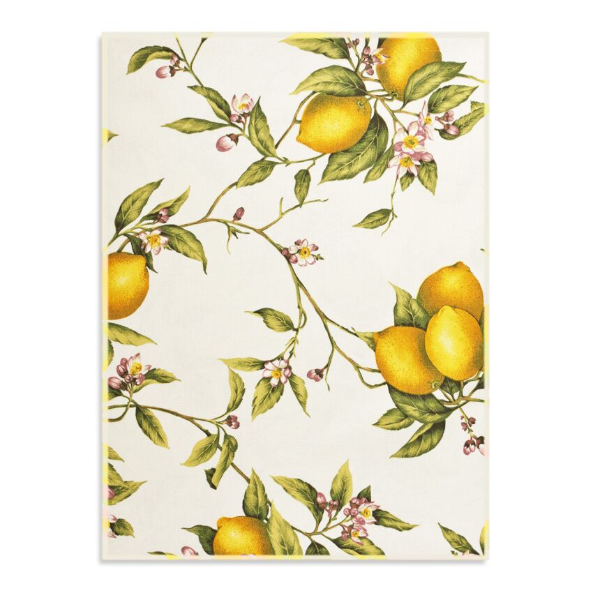 Set 6 Strofinacci SORRENTO By Maestri Cotonieri