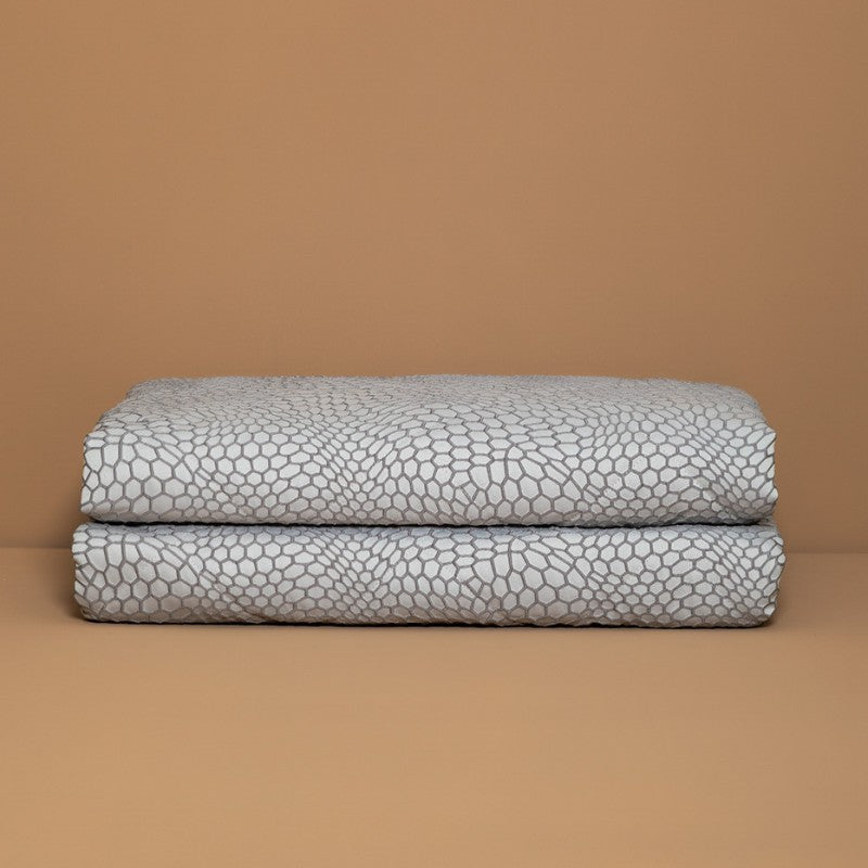 Trapuntino Bao - Battaglia