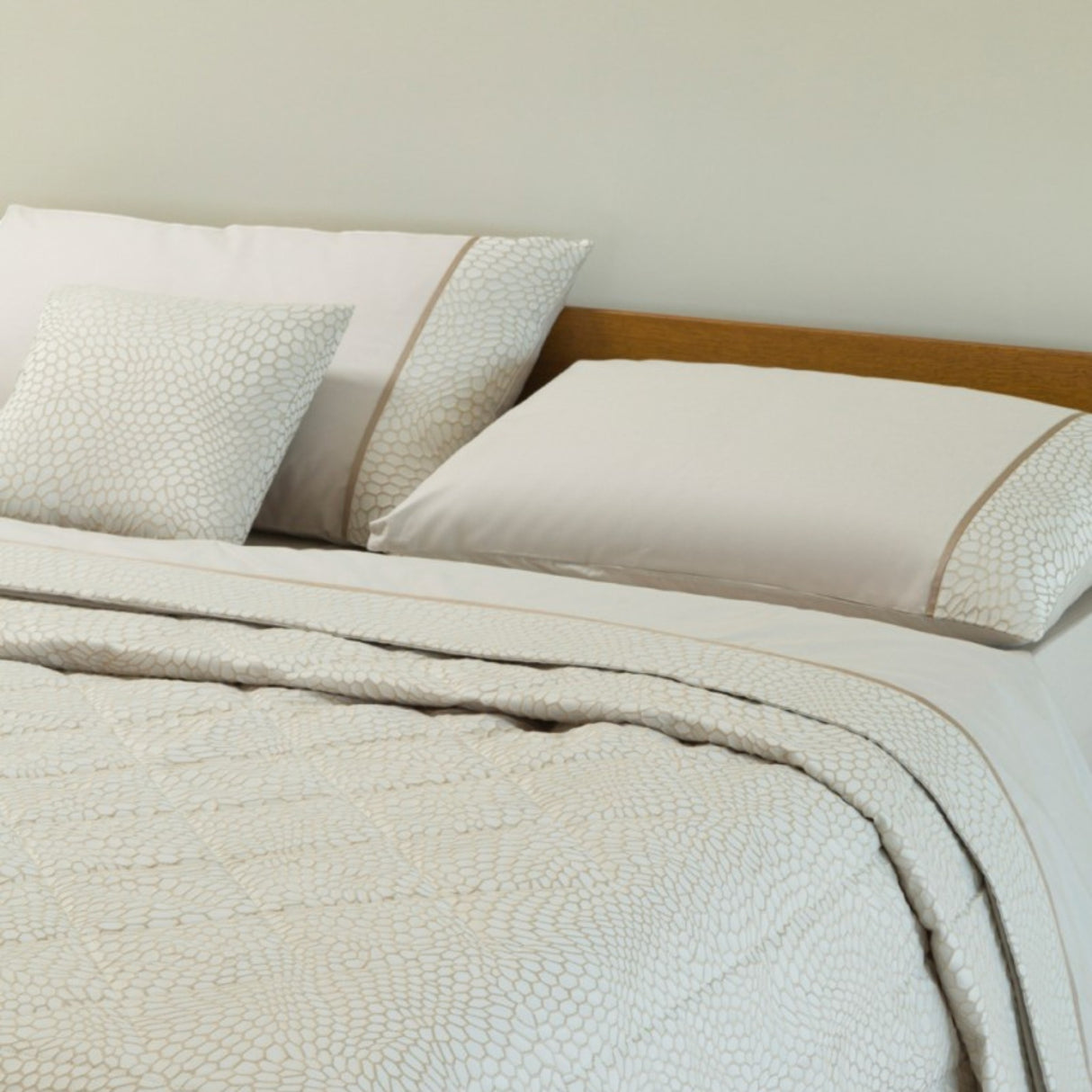 Trapuntino Bao - Battaglia