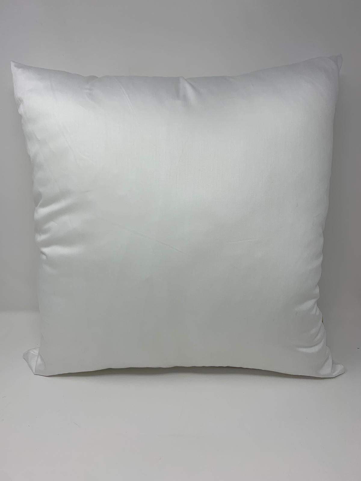 Cuscino DI RASO By MAESTRI COTONIERI (varie Misure)