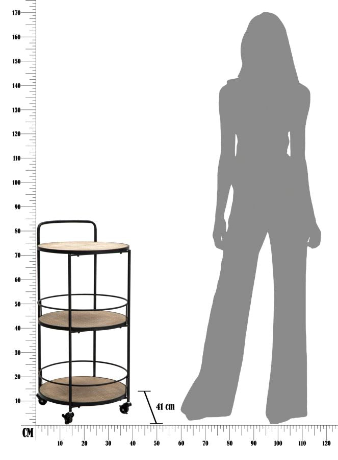 CARRELLO AREX CM 40X41,5X82