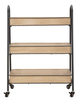 CARRELLO FUJI CM 60X30X80