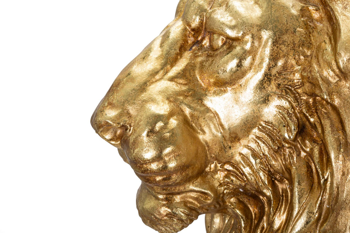 LEONE GOLD CM 67X36,5X80