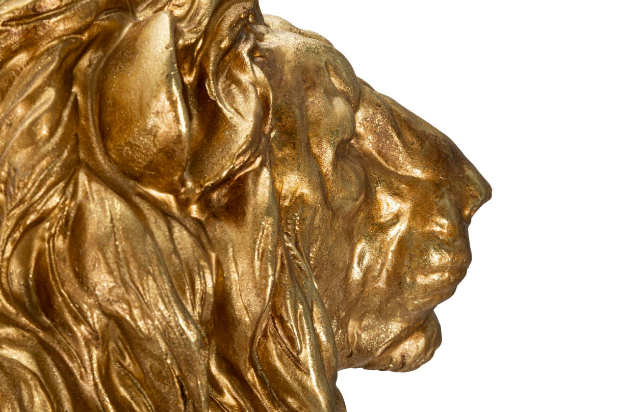 LEONE GOLD CM 67X36,5X80
