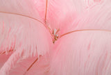 LAMPADA DA TERRA PALM ROSA CM Ø 55X160