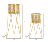 P/VASI GLOD COPPIA - FERRETTI
