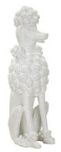 BARBONCINO WHITE CM 20X26X61