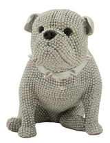 CANE SPARKY CM 17X11X14