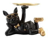 CANE ROVER S/TASCHE CM 23
