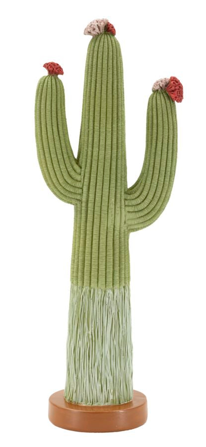 CACTUS CM 16