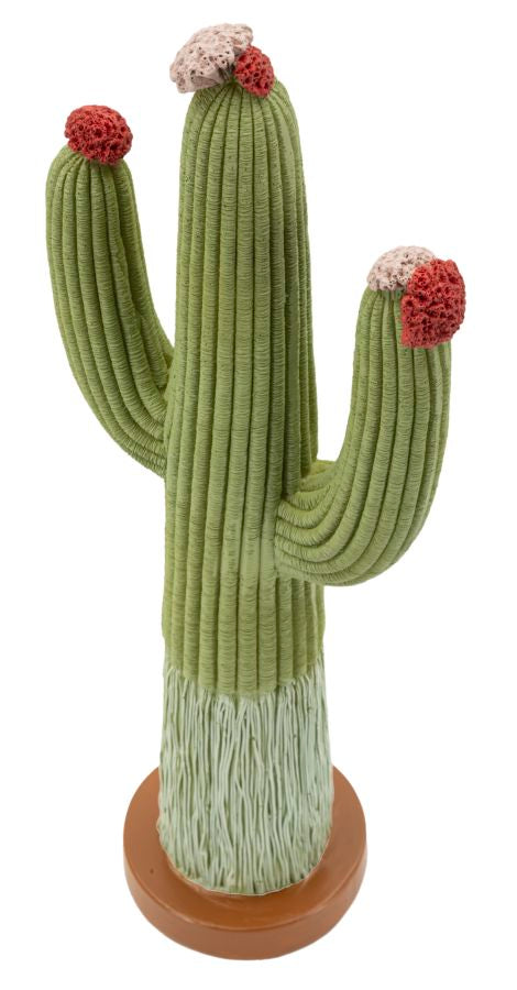 CACTUS CM 16,5X11X45