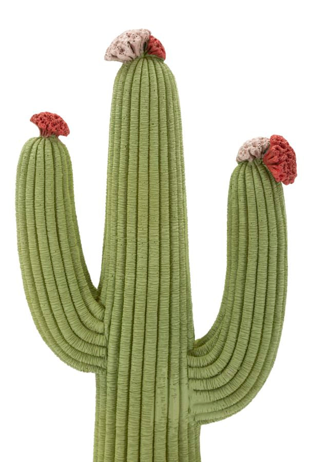CACTUS CM 16,5X11X45