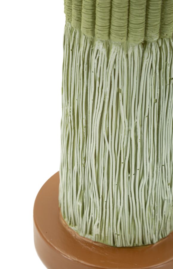 CACTUS CM 16,5X11X45