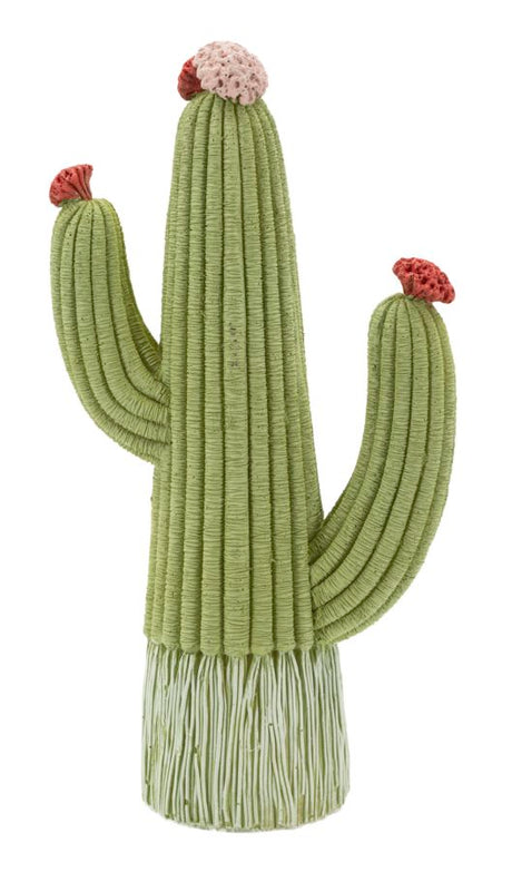 CACTUS CM 13X7X25