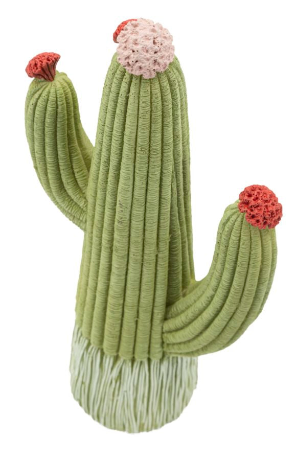 CACTUS CM 13X7X25