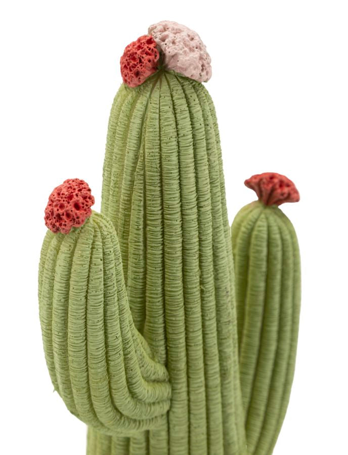 CACTUS CM 13X7X25
