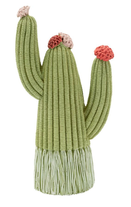CACTUS CM 10