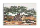 DIPINTO SU TELA OLIVO -B- CM 120X3