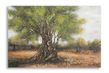 DIPINTO SU TELA OLIVO -C- CM 120X3