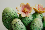 STAMPA SU TELA LACCATA C/CORNICE VASETTO CACTUS -A- CM 40X2,8X40