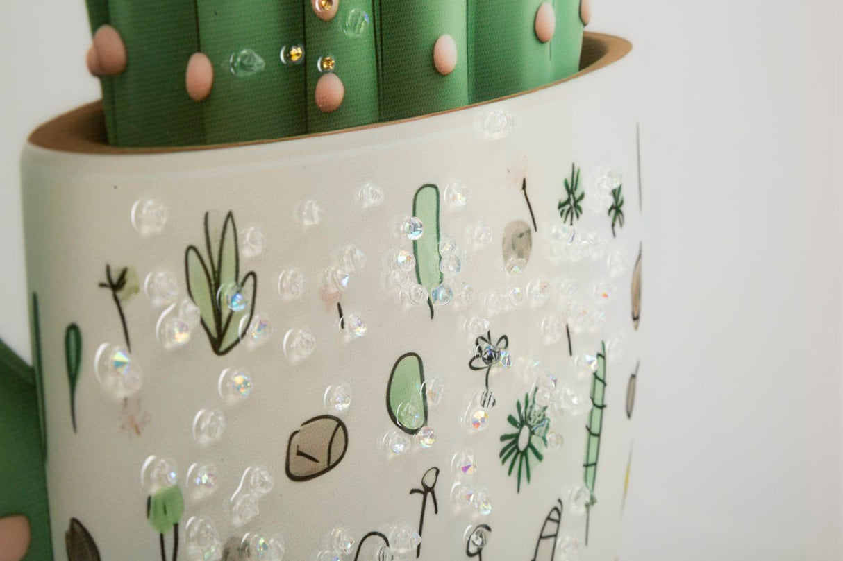 STAMPA SU TELA LACCATA C/CORNICE VASETTO CACTUS -B- CM 40X2,8X40