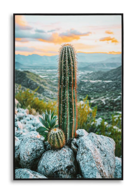 STAMPA SU TELA LACCATA C/CORNICE CACTUS -A- CM 60X4X90