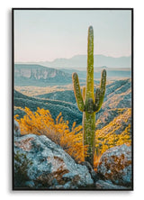 STAMPA SU TELA LACCATA C/CORNICE CACTUS -B- CM 60X4X90