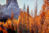 STAMPA SU TELA LACCATA C/CORNICE LAKE CM 90X4X60