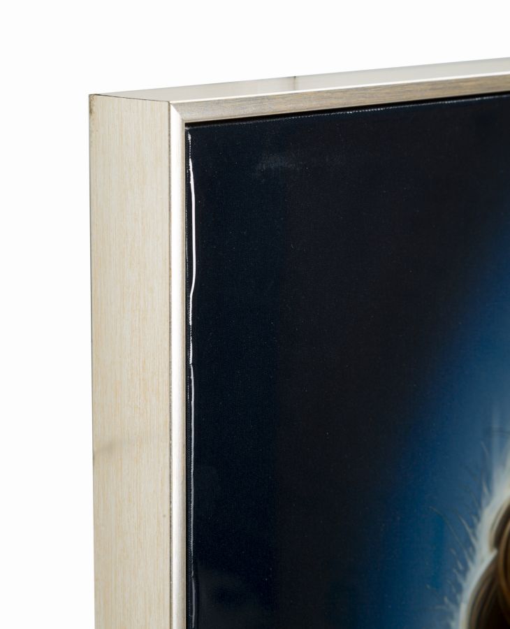 DIPINTO SU TELA LACCATO ISABEL C/CORNICE -A- CM 72X4X102