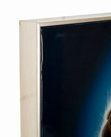 DIPINTO SU TELA LACCATO ISABEL C/CORNICE -A- CM 72X4X102