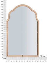 SPECCHIO DA MURO TANGERI ROSA CM 62X1X100 (MISURA SPECCHIO CM 55X94)