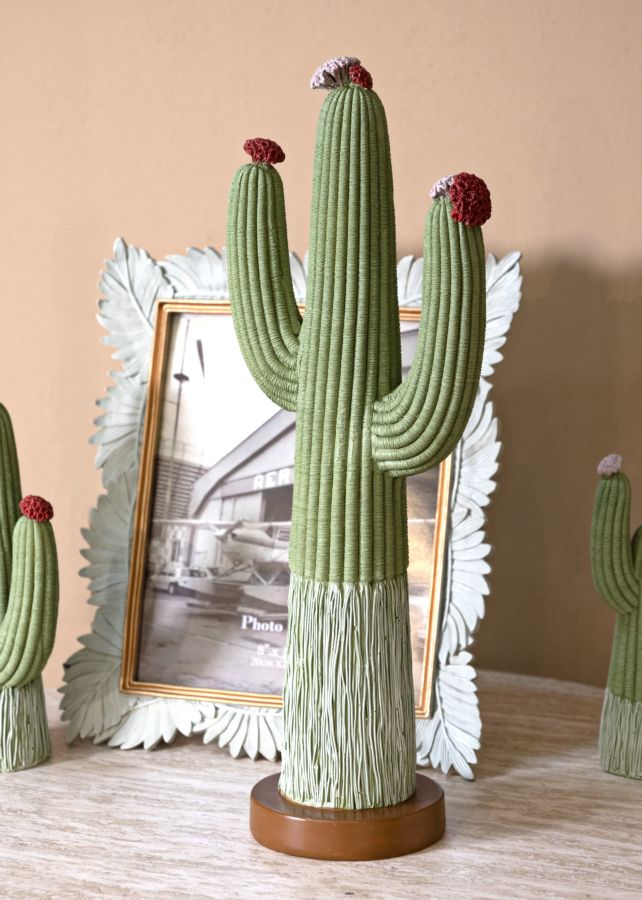 CACTUS CM 16,5X11X45