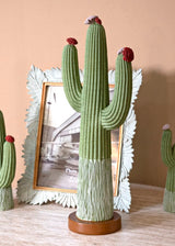 CACTUS CM 16,5X11X45
