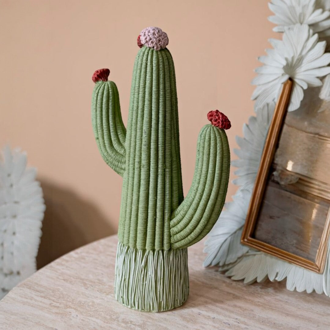 CACTUS CM 13X7X25
