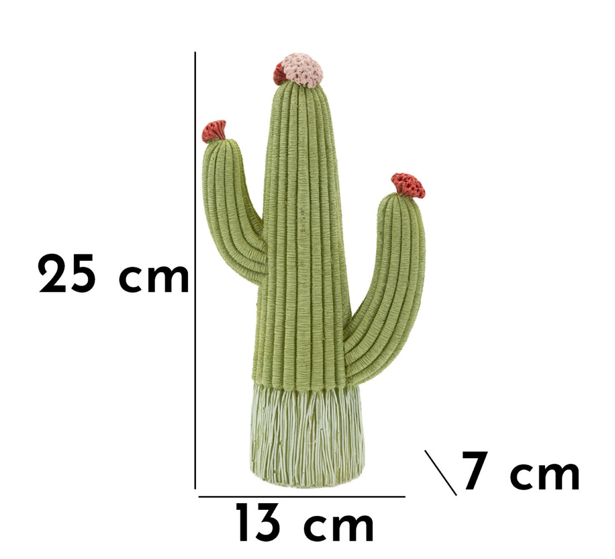 CACTUS CM 13X7X25