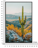 STAMPA SU TELA LACCATA C/CORNICE CACTUS -B- CM 60X4X90
