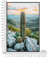 STAMPA SU TELA LACCATA C/CORNICE CACTUS -A- CM 60X4X90
