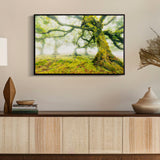 STAMPA SU TELA LACCATA C/CORNICE FORESTA CM 90X4X60