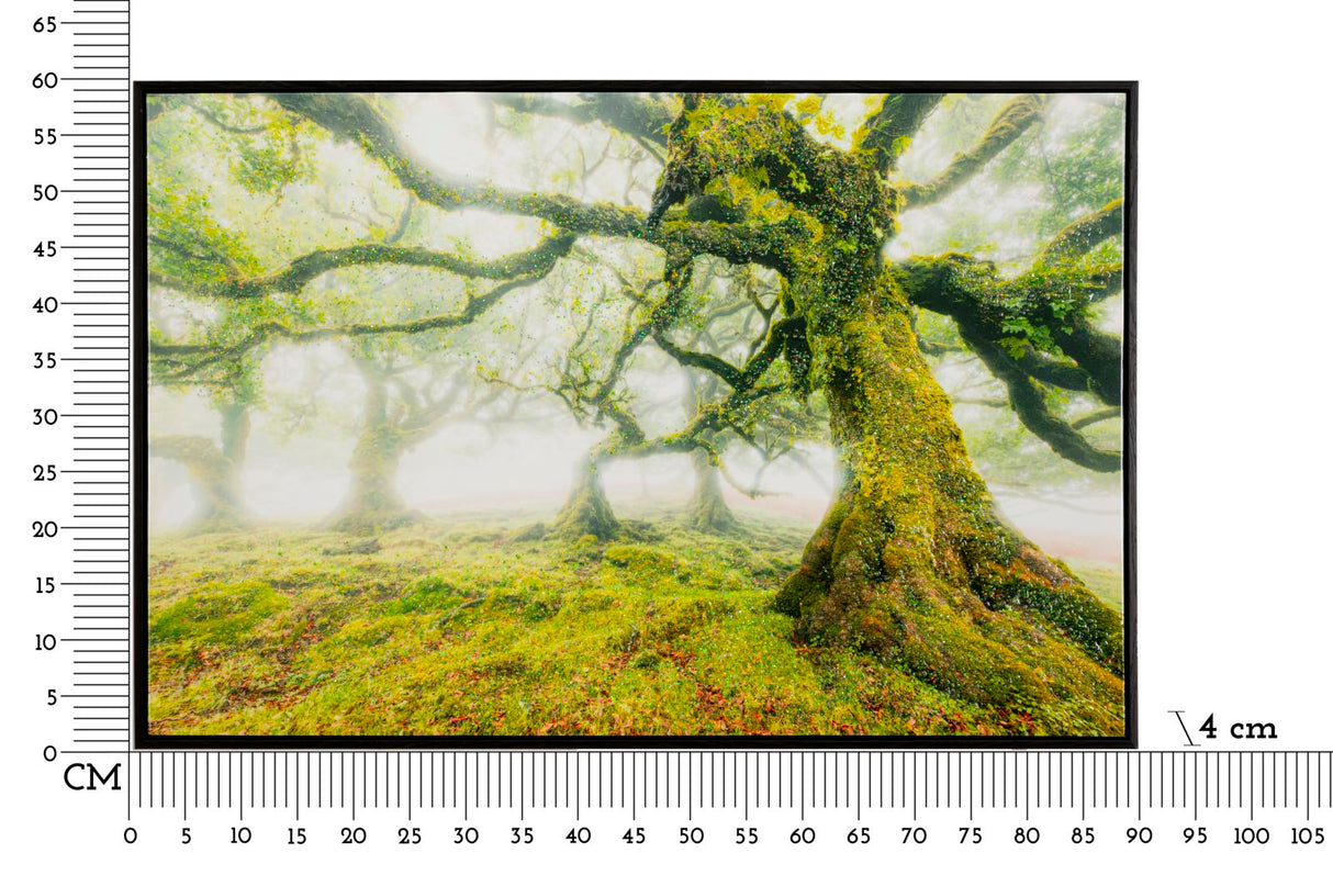 STAMPA SU TELA LACCATA C/CORNICE FORESTA CM 90X4X60