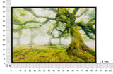 STAMPA SU TELA LACCATA C/CORNICE FORESTA CM 90X4X60