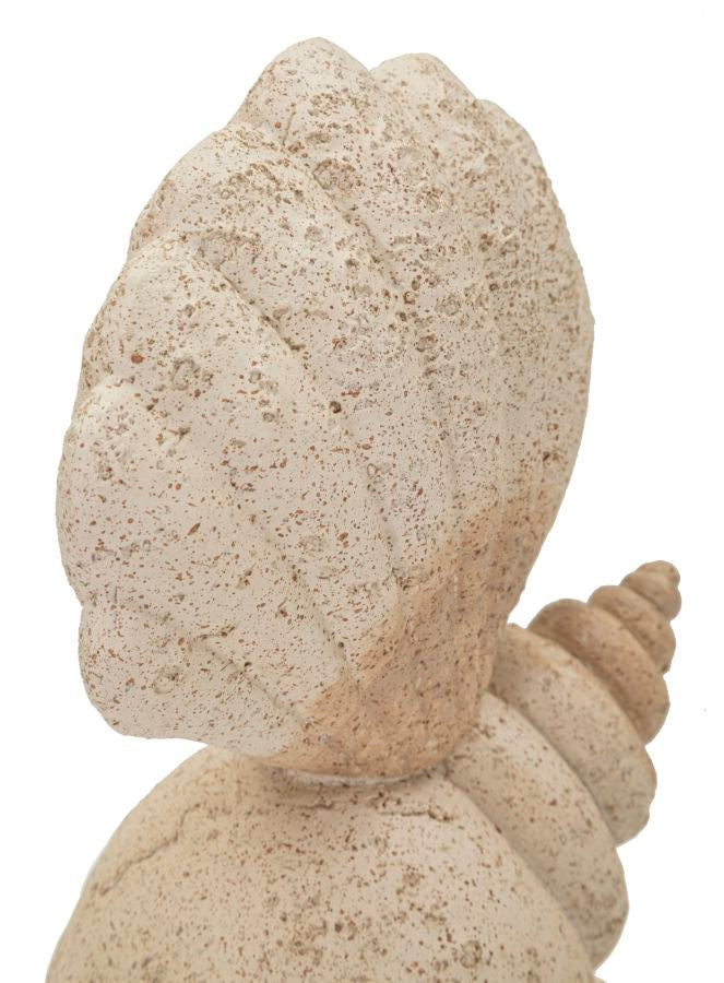 CONCHIGLIA SAND - FERRETTI