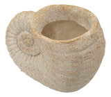 VASO SHELL SAND -A- CM 33X19X23 - FERRETTI