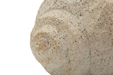 VASO SHELL SAND -B- CM 35X23X18 - FERRETTI