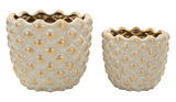 CACHEPOT PEPITAS COPPIA CM Ø 23X18-18