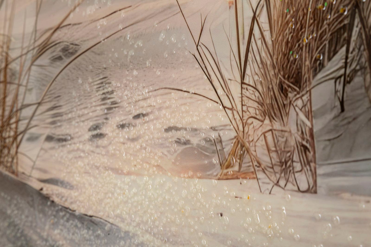 STAMPA DIPINTA SU TELA LACCATA BEACH C/CORNICE -A- FERRETTI