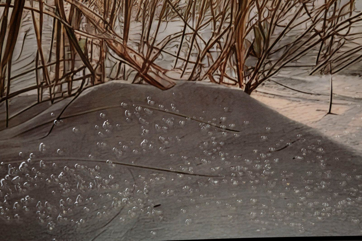 STAMPA DIPINTA SU TELA LACCATA BEACH C/CORNICE -A- FERRETTI
