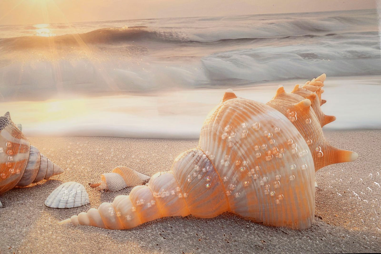 STAMPA DIPINTA SU TELA LACCATA BEACH C/CORNICE -B- FERRETTI