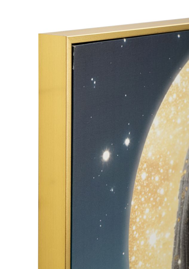 STAMPA C/LED SU TELA LACCATA C/CORNICE VENUS - FERRETTI