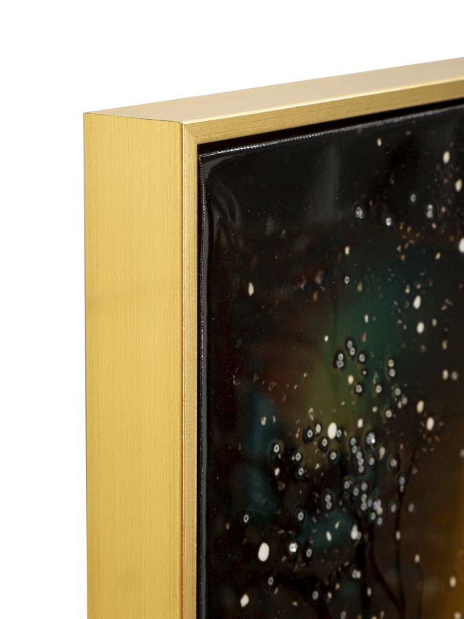 STAMPA DECORATA SU TELA LACCATA C/CORNICE PEACOCK - FERRETTI