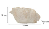 VASO SHELL SAND -B- CM 35X23X18 - FERRETTI